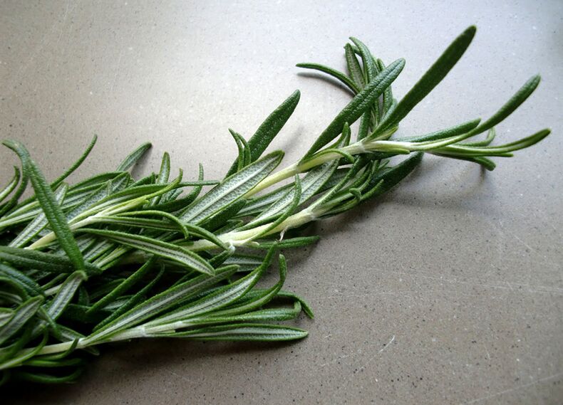 Rosemary per aumentare la potenza